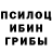 Псилоцибиновые грибы Psilocybine cubensis Kotey