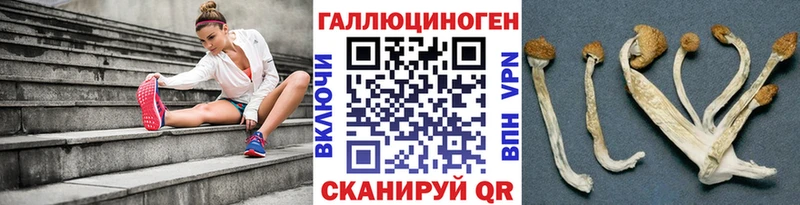 Купить  Дмитровск  Галлюциногенные грибы ЛСД 